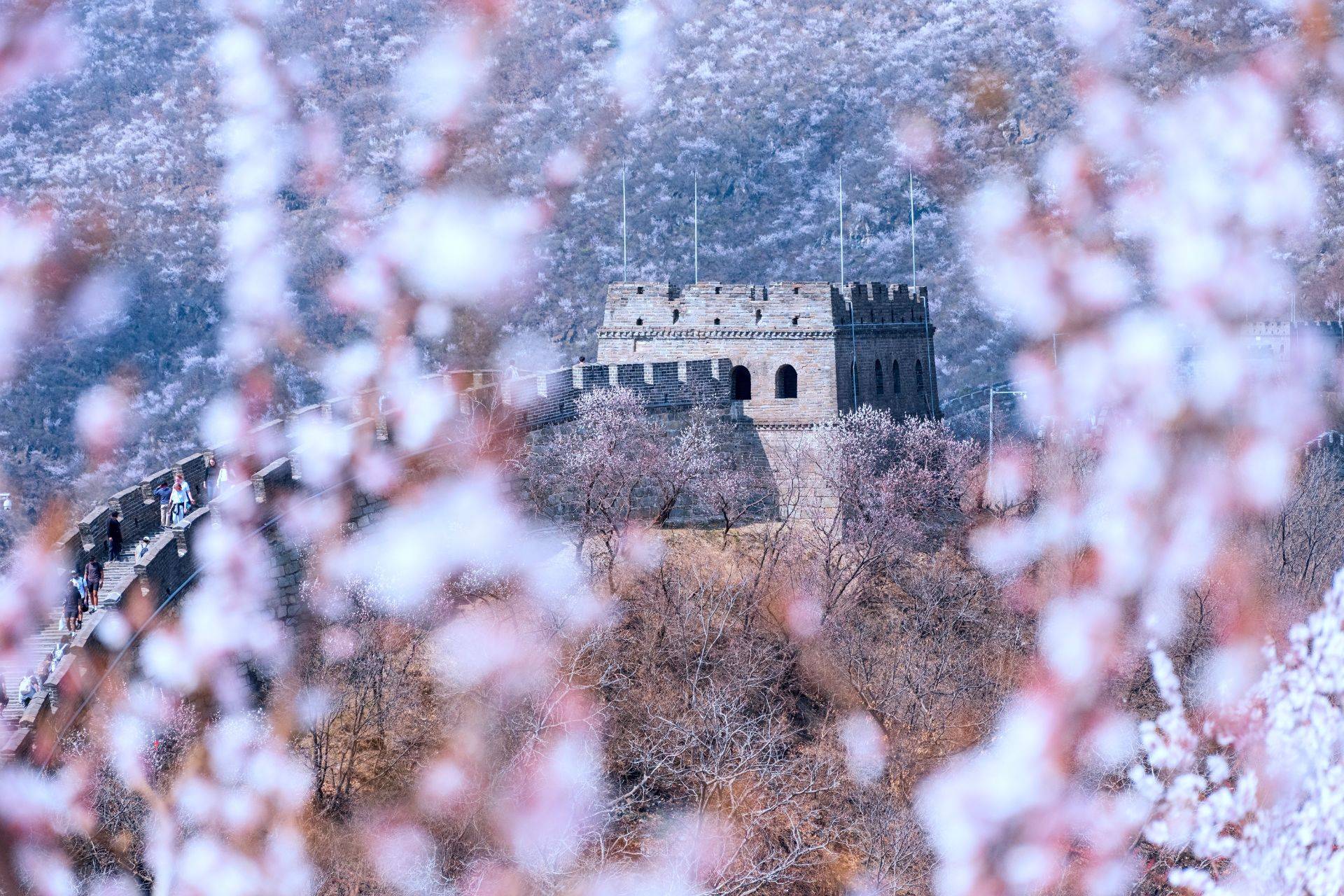 10-Day Classic China Discovery 