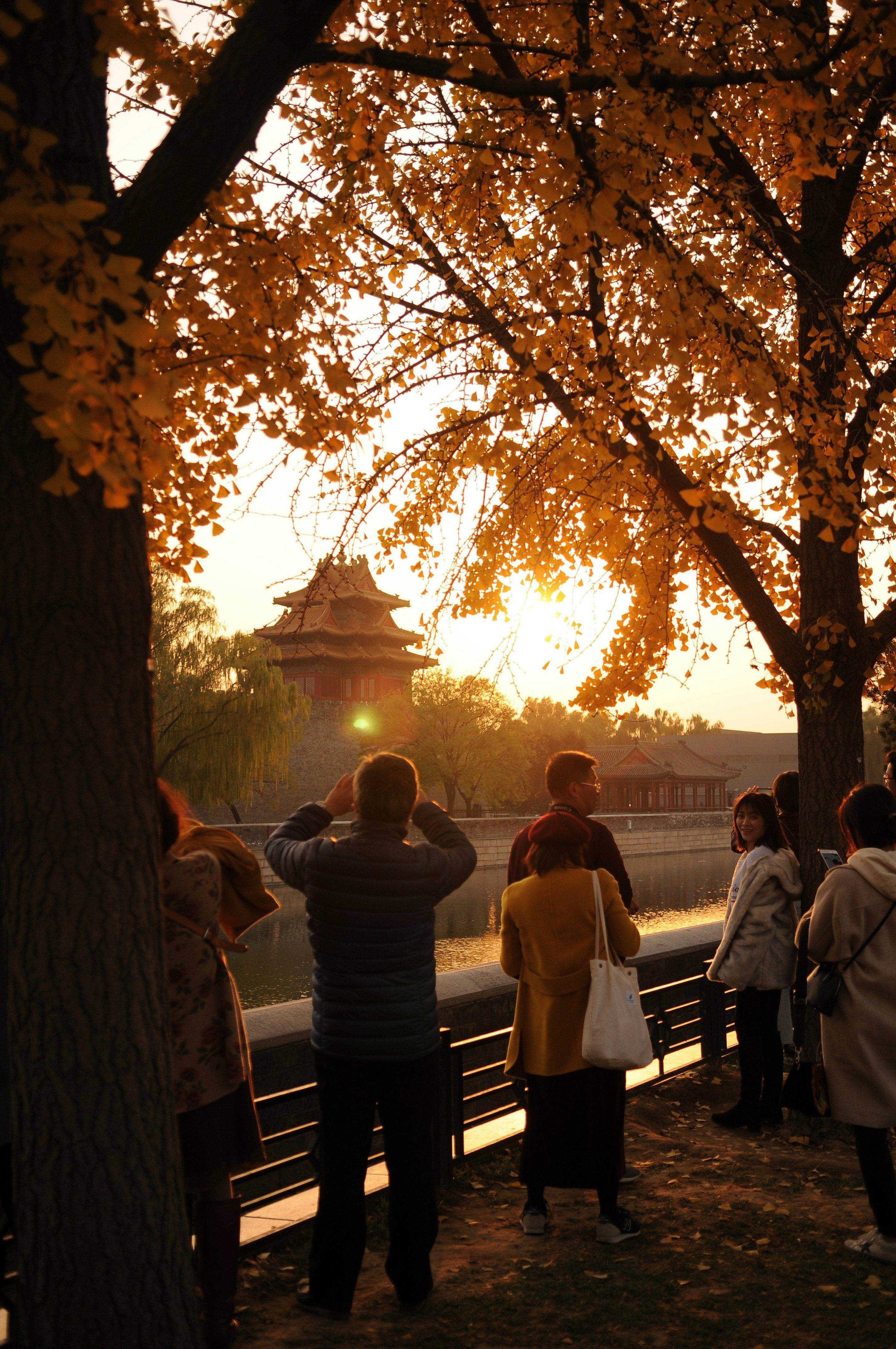 10-Day Classic China Discovery 