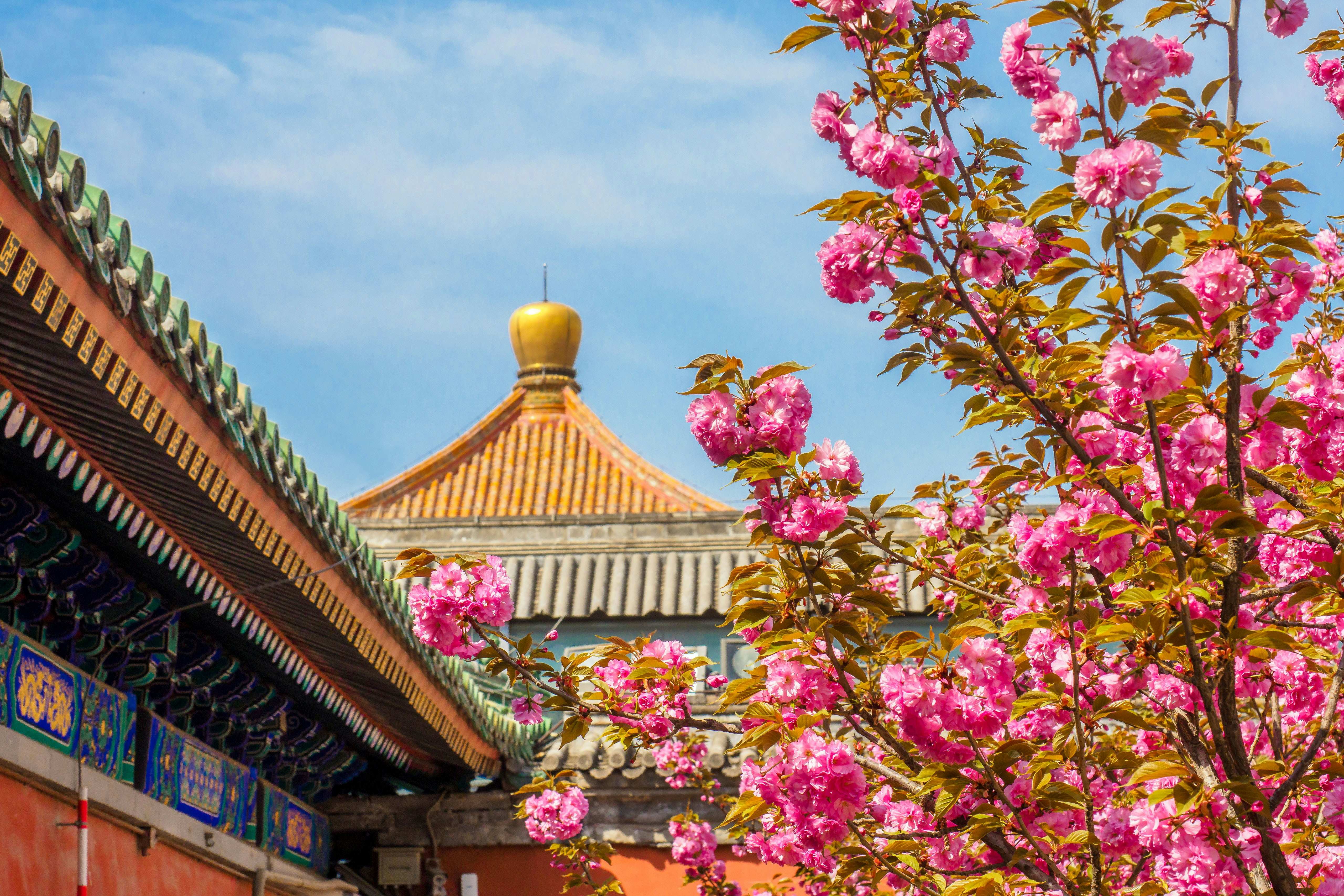 10-Day Classic China Discovery 