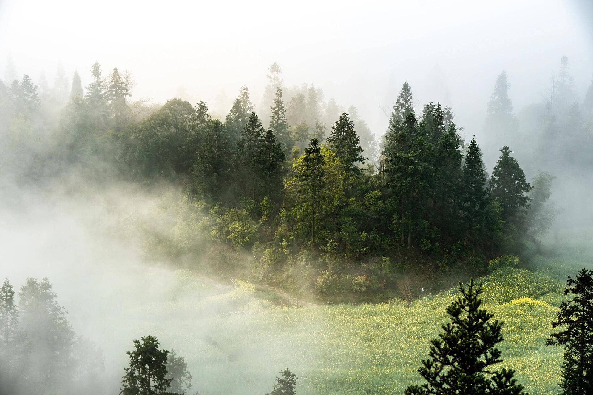 7-Day China's Hidden Mountains & Porcelain Heritage