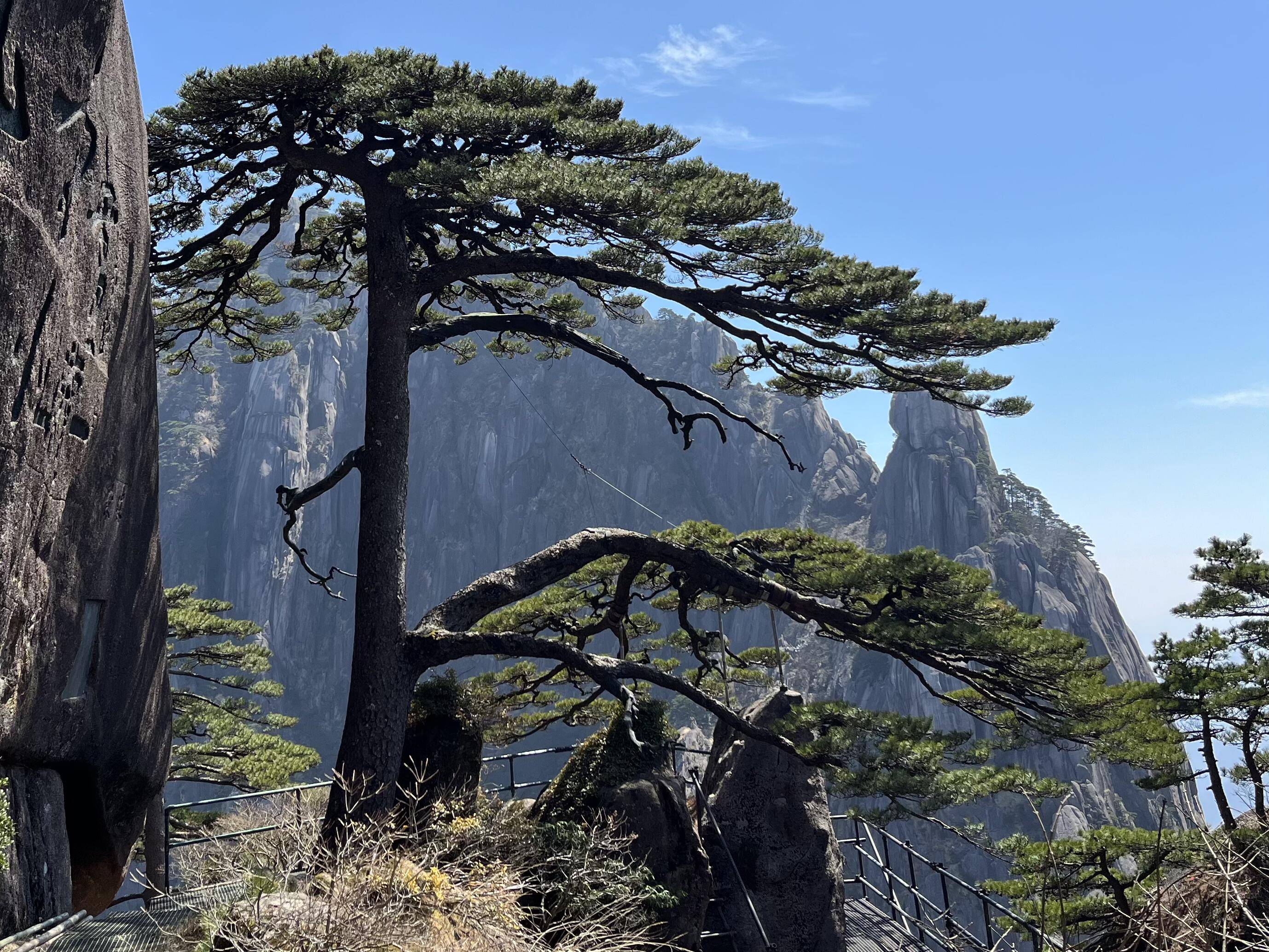 3-Day Huangshan & Hongcun: Mountains, Mist & Ancient Villages