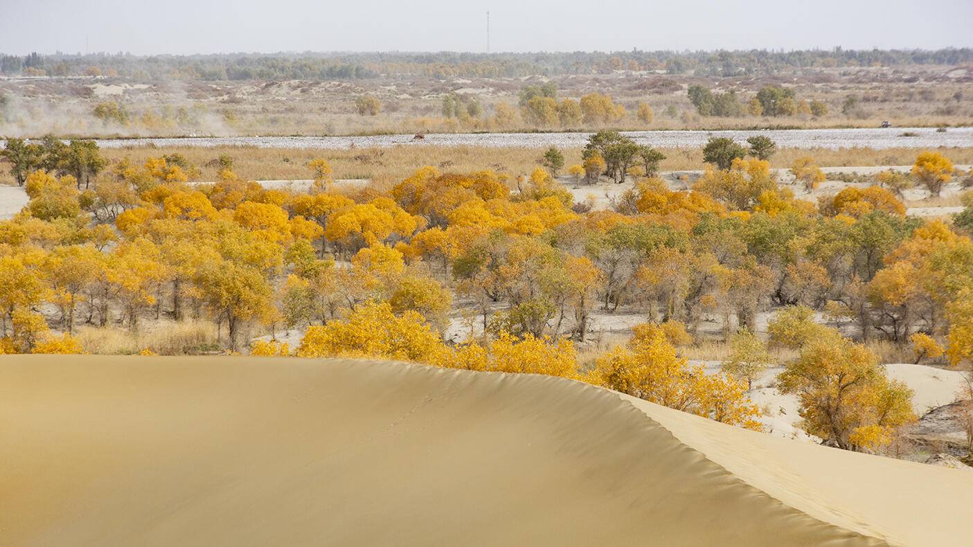 Golden Autumn · Xining to Kashgar