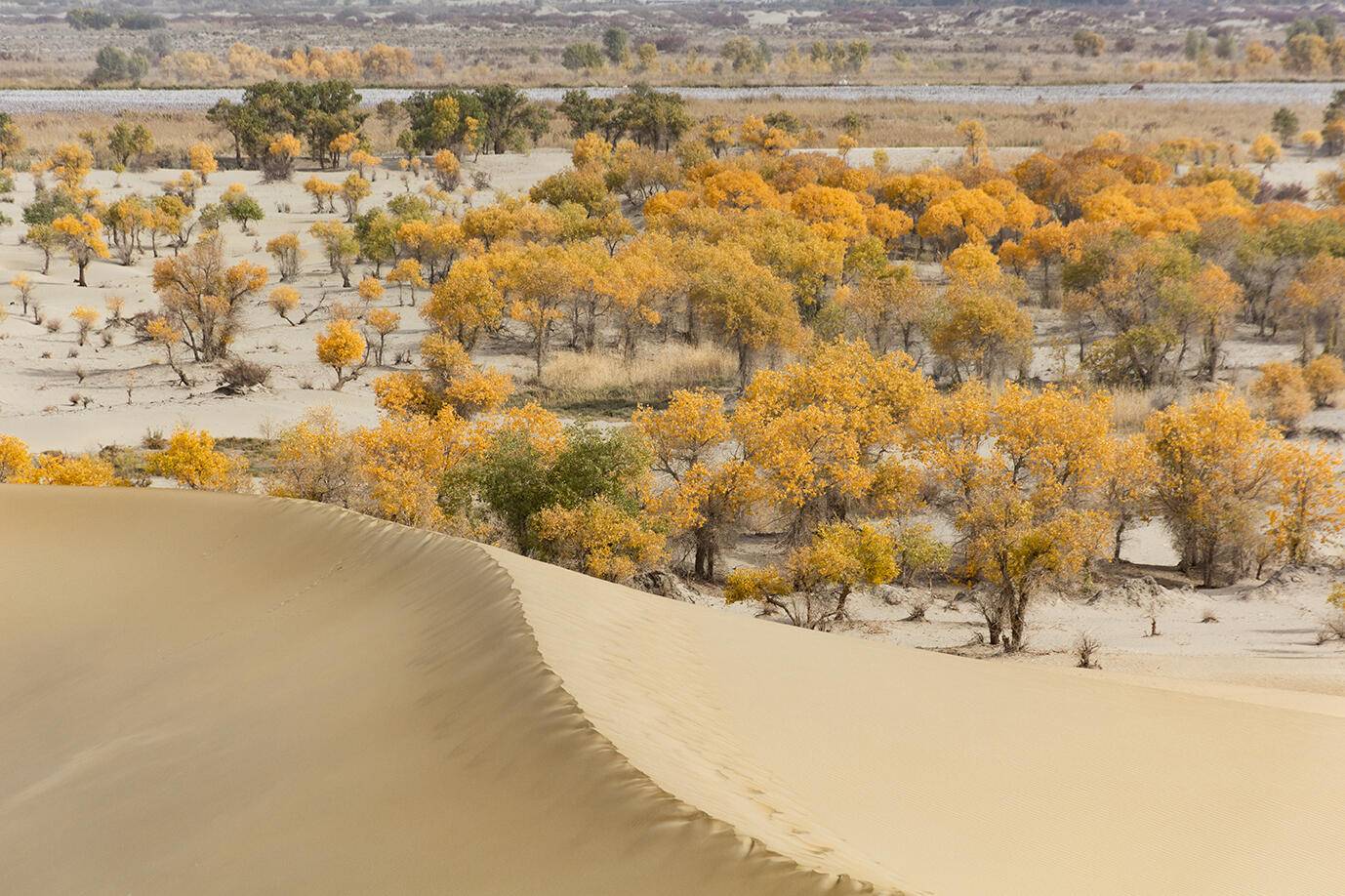 Golden Autumn · Xining to Kashgar